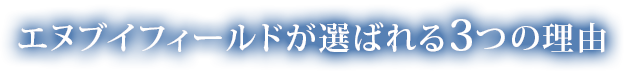 エヌブイフィールドが選ばれる3つの理由